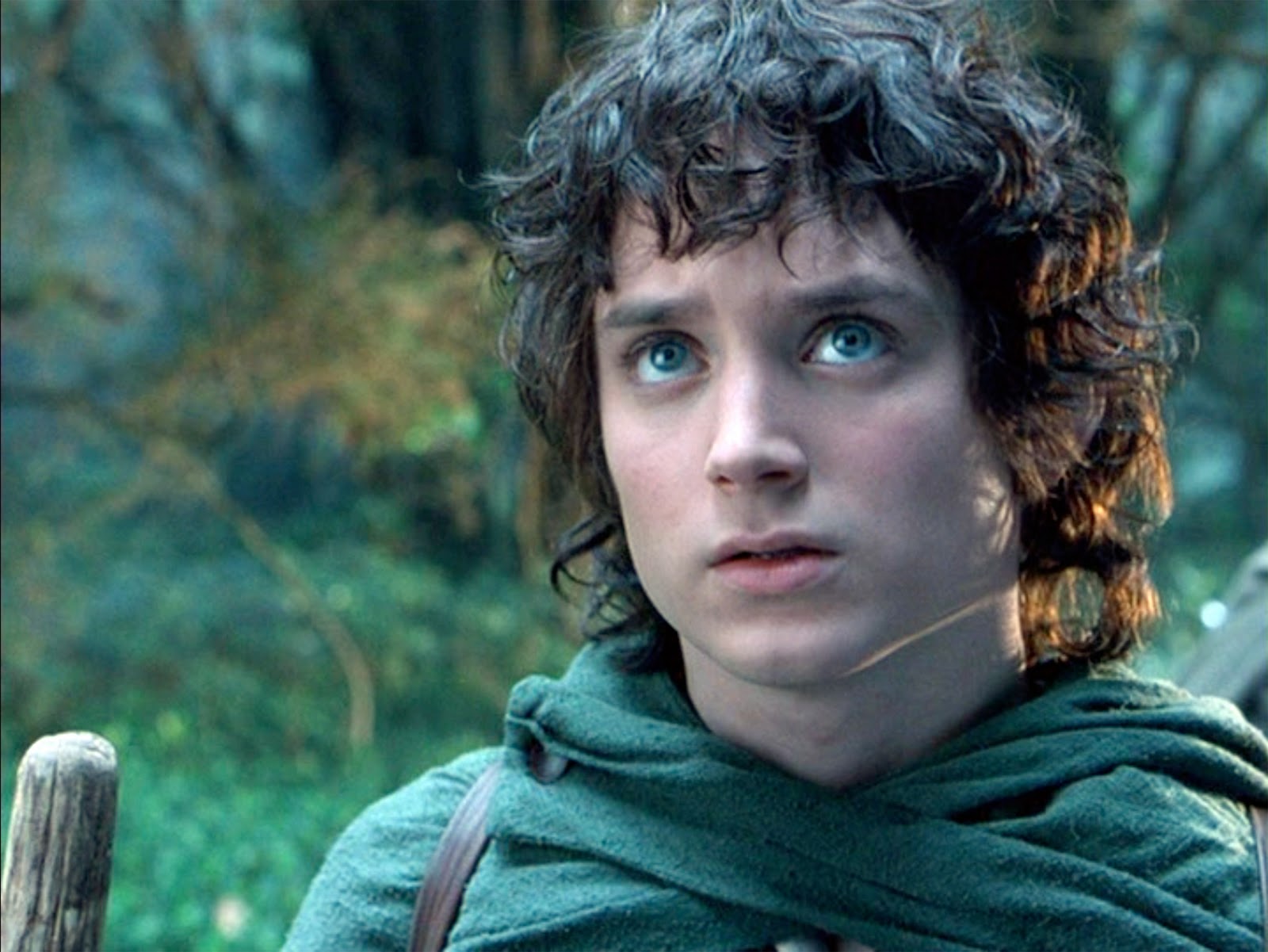 Frodo Baggins
